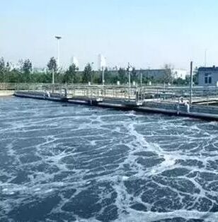 水中生化需氧量的检测